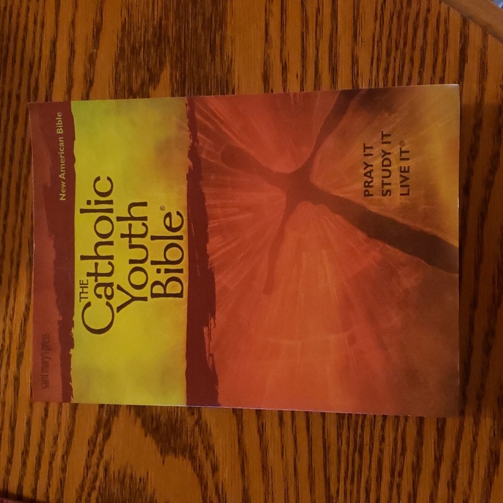Catholic Youth Bible, Pray It, Study It, Live It